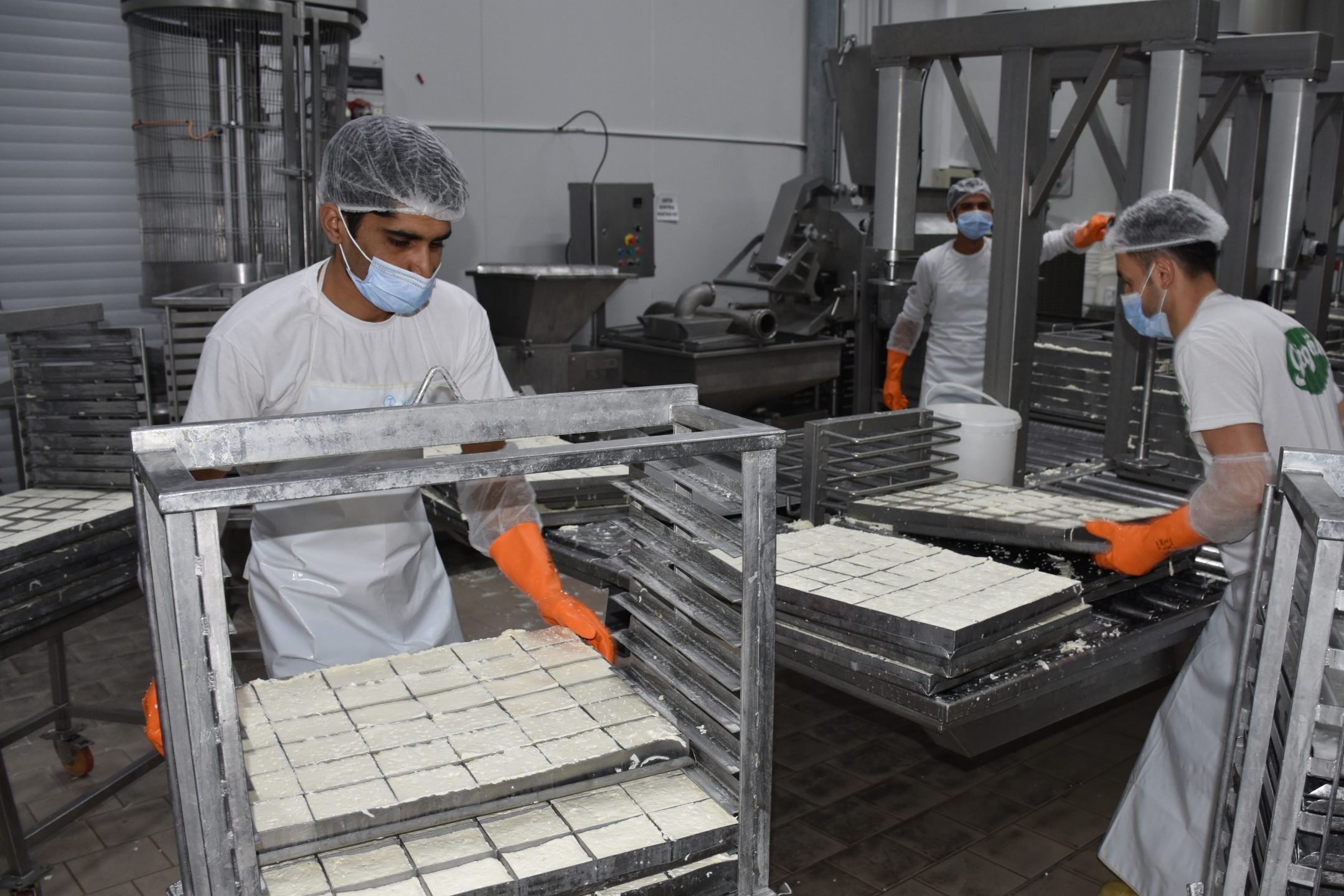 KTSO: YEŞİL HAT ÜZERİNDEN HELLİM İHRACATINDAKİ ENGEL KALKIYOR